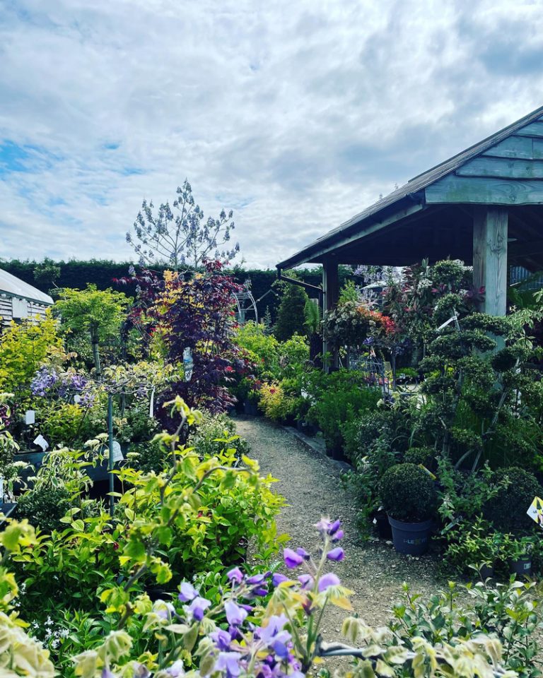 The Fairview Gardener A centre for gardeners, not a garden centre