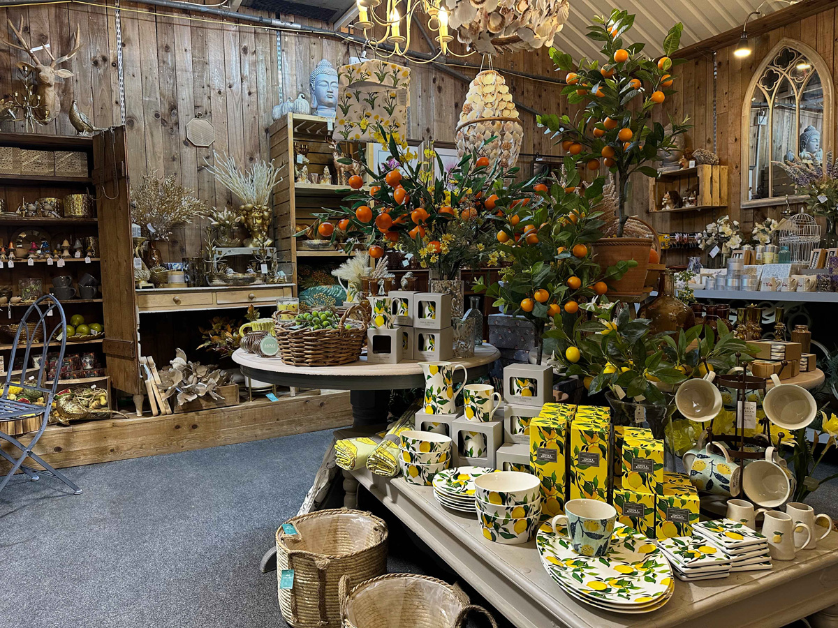 The Fairview Gardener A centre for gardeners, not a garden centre