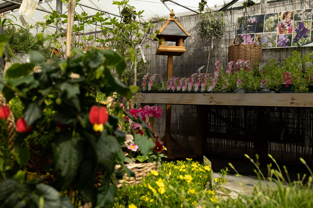 The Fairview Gardener A centre for gardeners, not a garden centre